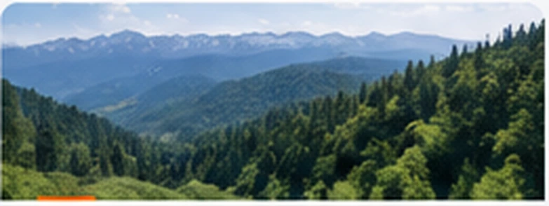 Paisaje de montaña y bosque